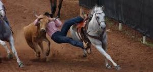 steer wrestling